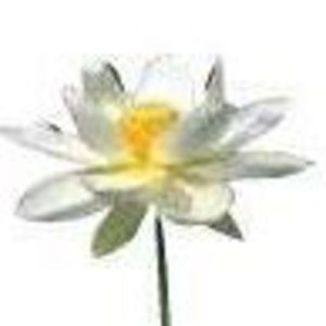 Meet your Posher, Way